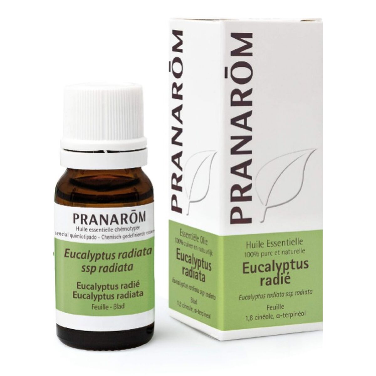 Huile Essentielle d'Eucalyptus Radiata — Respiration & Fraîcheur