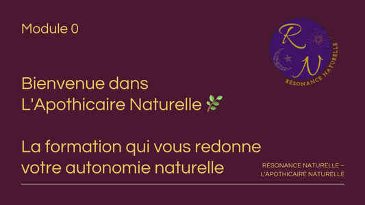 L'Apothicaire Naturelle – Formation : Maîtriser les Remèdes Ancestraux