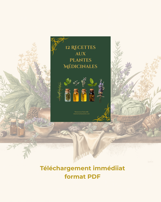 12 Recettes aux Plantes Médicinales