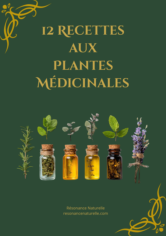 12 Recettes aux Plantes Médicinales