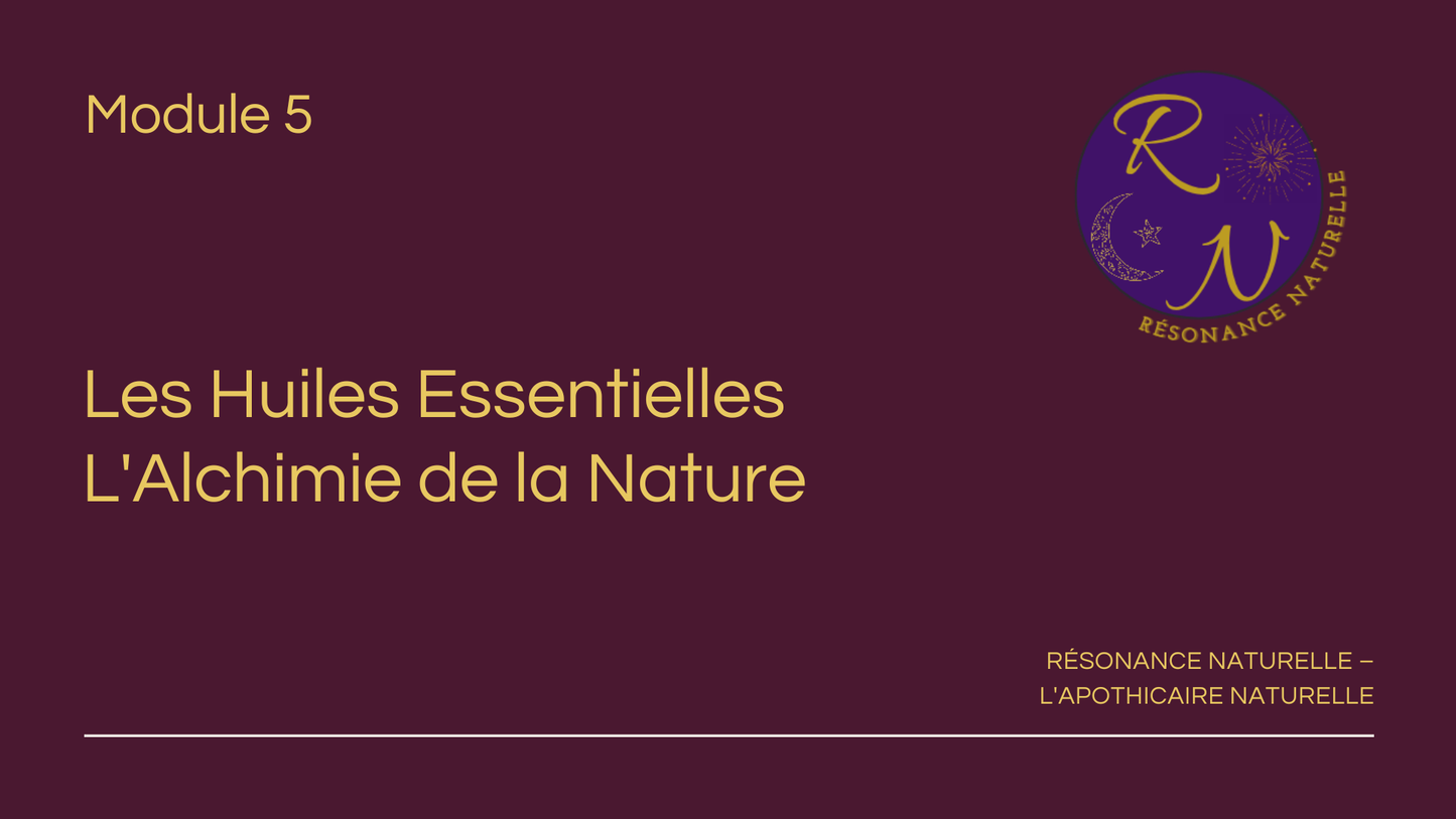 L'Apothicaire Naturelle – Formation : Maîtriser les Remèdes Ancestraux