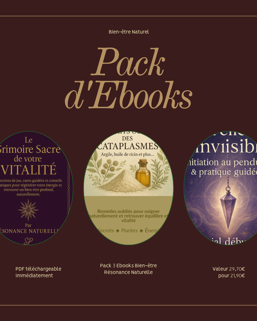 Pack 3 Ebooks Bien-être – Énergie, Vitalité & Remèdes Naturels